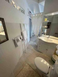 Koupelna v ubytování Petit coin de paradis à 5 min Baie Orientale, Idolem résidence unité 7bis - 57 Rue du Mont Vernon 1