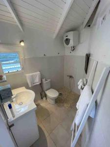 Koupelna v ubytování Petit coin de paradis à 5 min Baie Orientale, Idolem résidence unité 7bis - 57 Rue du Mont Vernon 1