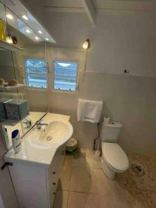 Koupelna v ubytování Petit coin de paradis à 5 min Baie Orientale, Idolem résidence unité 7bis - 57 Rue du Mont Vernon 1