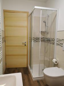 y baño con ducha, aseo y lavamanos. en App Col di Lana - Agriturismo La Majon da Col, en Colle Santa Lucia