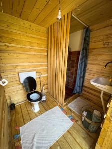 a wooden bathroom with a toilet and a sink at The Hunters Glamping in Ciudanoviţa