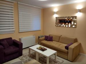 a living room with a couch and a table at Apartment Cherry Gold in Zrenjanin