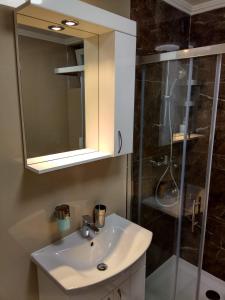 a bathroom with a sink and a shower at Apartment Cherry Gold in Zrenjanin