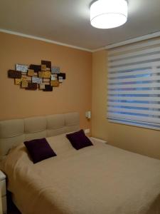 Un dormitorio con una cama grande y una ventana en Apartment Cherry Gold, en Zrenjanin