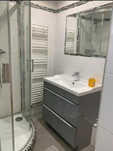 La salle de bains est pourvue d'un lavabo et d'une douche avec un miroir. dans l'établissement Chambre Serenity, à Stains