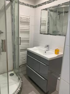 La salle de bains est pourvue d'un lavabo, d'une douche et d'un miroir. dans l'établissement Chambre Serenity, à Stains