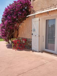 a patio with two chairs and a door with flowers at Un Nid Douillet en bord de plage !! in Lucciana