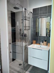 a bathroom with a shower and a sink at Un Nid Douillet en bord de plage !! in Lucciana