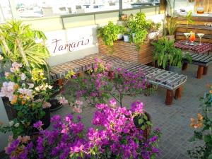 una floristería con un banco y algunas flores en Tamaris Hotel, en Chiclayo