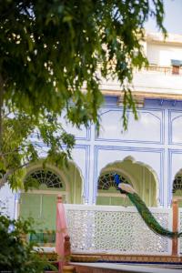 Zahrada ubytování Diggi Palace - A City Center Hidden Heritage Gem