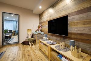 Televízia a/alebo spoločenská miestnosť v ubytovaní Apartman Nosek