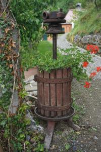 Zahrada ubytování Agriturismo U muinettu