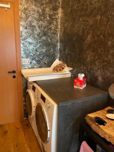 a washing machine in a kitchen with a counter top at WellHome in Marina di Montemarciano