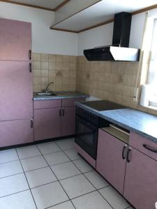 a kitchen with purple cabinets and a sink at Ferienwohnung Braun in Hinterweidenthal