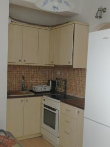 Kuchyň nebo kuchyňský kout v ubytování Gio st Gio apartment 1 Antiparos st.Giorgio