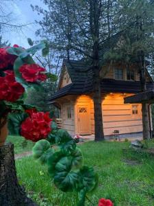 uma cabana de madeira com flores vermelhas à frente. em Tatra Wolf House em Kościelisko