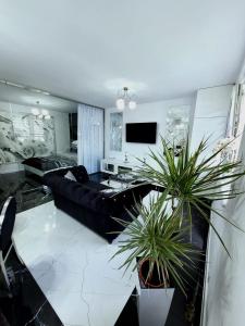 a living room with a black couch and two potted plants at Apartament Glamour in Gniezno