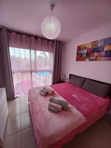 a bedroom with a pink bed with two towels on it at A los Soles de Fuerteventura in Costa de Antigua