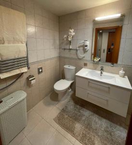 La salle de bains est pourvue de toilettes, d'un lavabo et d'un miroir. dans l'établissement Alintoma Holiday apartment, à Palanga