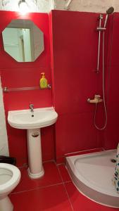 a red bathroom with a sink and a toilet at Andreevskiy mini-hotel in Kyiv