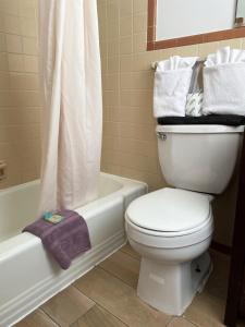 Een badkamer bij Kings Arms Motel