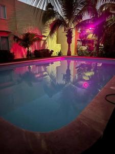 einen großen Pool mit Palmen und violetten Lichtern in der Unterkunft New Home Sol, Mar y Arena Ixtapa. in Ixtapa
