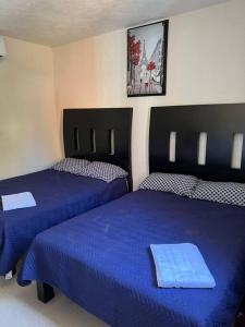 a bedroom with two beds with blue sheets and a picture on the wall at New Home Sol, Mar y Arena Ixtapa. in Ixtapa