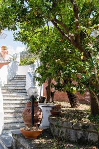 ピアノ・ディ・ソレントにあるVilla Francesca Relaisのギャラリーの写真 +40枚の写真