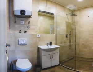 a bathroom with a shower and a toilet and a sink at Vila Guliver in Palić