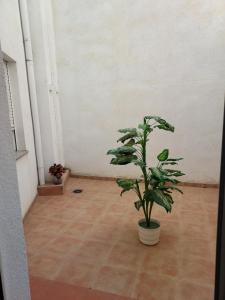 Fotografia z galérie ubytovania RUA ZAPATERIA 10 PLASENCIA v destinácii Plasencia