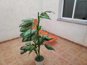 Fotografia z galérie ubytovania RUA ZAPATERIA 10 PLASENCIA v destinácii Plasencia