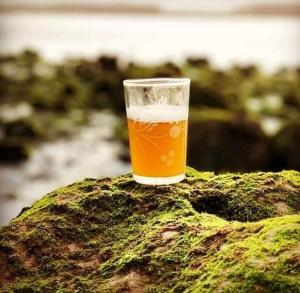a glass of beer sitting on top of a rock at Araucaria in Oualidia
