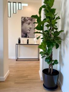 Fotografie z fotogalerie ubytování SCIABICA SUITE - Sicilian Experience v destinaci Favara