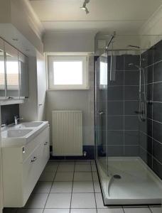 a bathroom with a glass shower and a sink at Het Damhert in Kortenaken