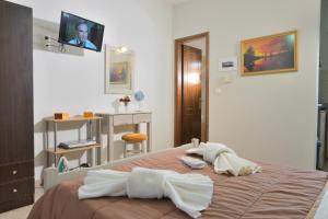a bedroom with a bed and a desk and a television at Artemis Apartments in Konitsa