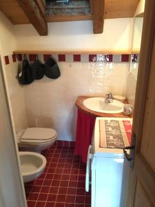 La petite salle de bains est pourvue de toilettes et d'un lavabo. dans l'établissement Piccolo e accogliente rascard CIR 0060, à Champoluc