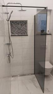 a bathroom with a glass shower with a toilet at Apartment Lavanda in Mali Lošinj