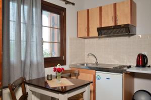 Kuchyň nebo kuchyňský kout v ubytování Artemis Apartments + 37 fotografií