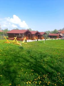 un campo de césped verde con un edificio en el fondo en Căsuțele din Retezat, en Nucşoara