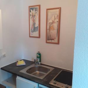 cocina con fregadero y 2 cuadros en la pared en Zur alten Jugendherberge, en Burg