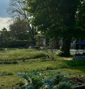 Φωτογραφία από το άλμπουμ του Le Loft σε Sancergues +11 φωτογραφίες