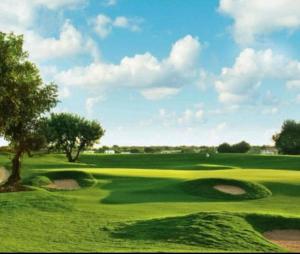 a view of a green golf course with a tree at Sea View Suites - דירות נופש עם מקלט in Caesarea