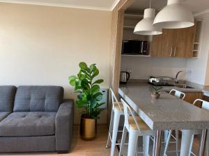 Kuchyň nebo kuchyňský kout v ubytování Apart Hotel Las Terrazas Suite