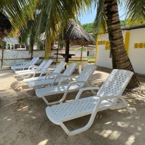 a row of white lounge chairs under a palm tree at Hotel Cocotal in Isla Grande
