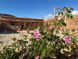 een bos met roze bloemen voor een gebouw bij Berberbayt lodge maison privé in Tinerhir