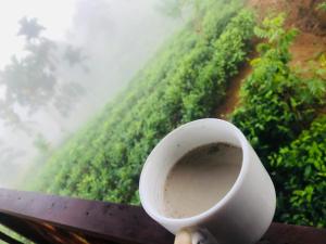 Fotografie z fotogalerie ubytování Misty Mountain- Sinharaja v destinaci Deniyaya