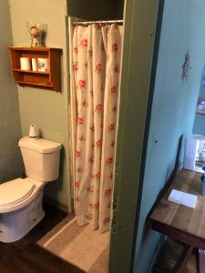 a bathroom with a toilet and a shower curtain at Seafarer Inn and Cottages in Old Orchard Beach +16 photos