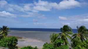 Blick auf einen Strand mit Palmen und das Meer in der Unterkunft Suite Villa au bord de la mer chez Saloua in Chirongui