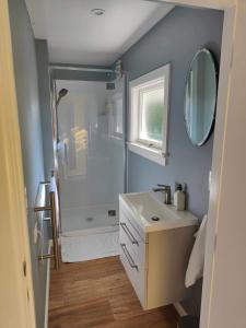 a bathroom with a shower and a sink and a mirror at Fully Renovated Hillside Apartment Close To City in Christchurch