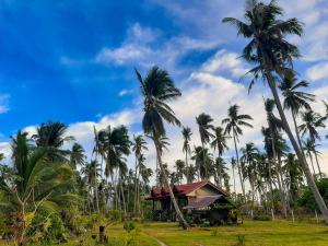 a group of palm trees and a house at Marianne's Guest House in New Agutaya
